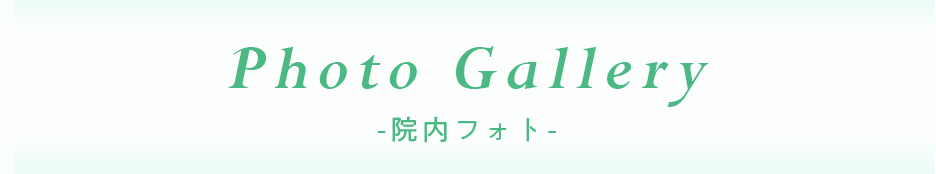 Photo Gallery -院内フォト-